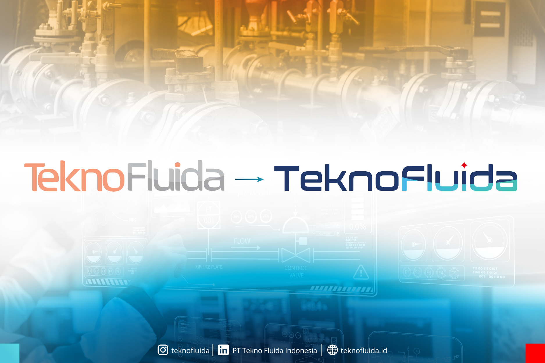 News 8 - Rebranding for the Future : TeknoFluida’s Commitment to Innovation