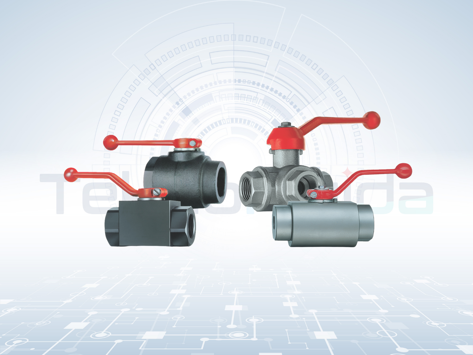 Product Range - Two Way & Multi Way Valve